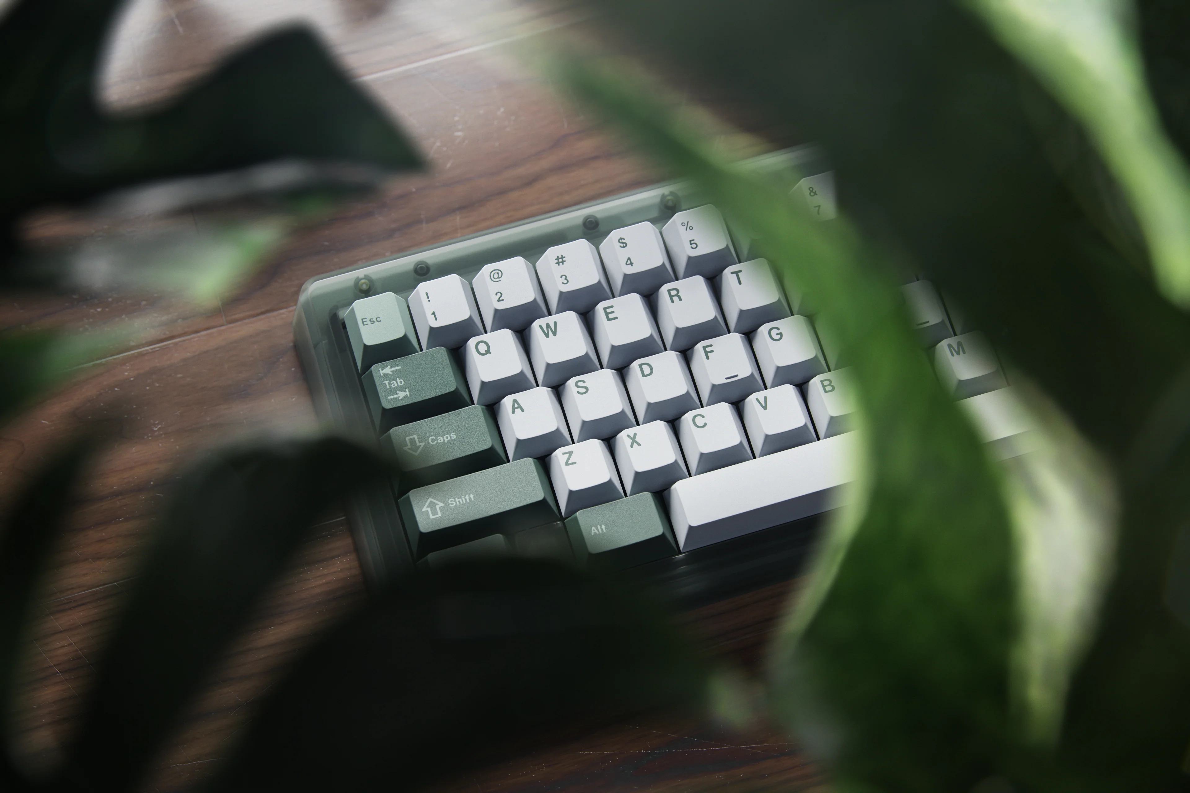 Thumb 5